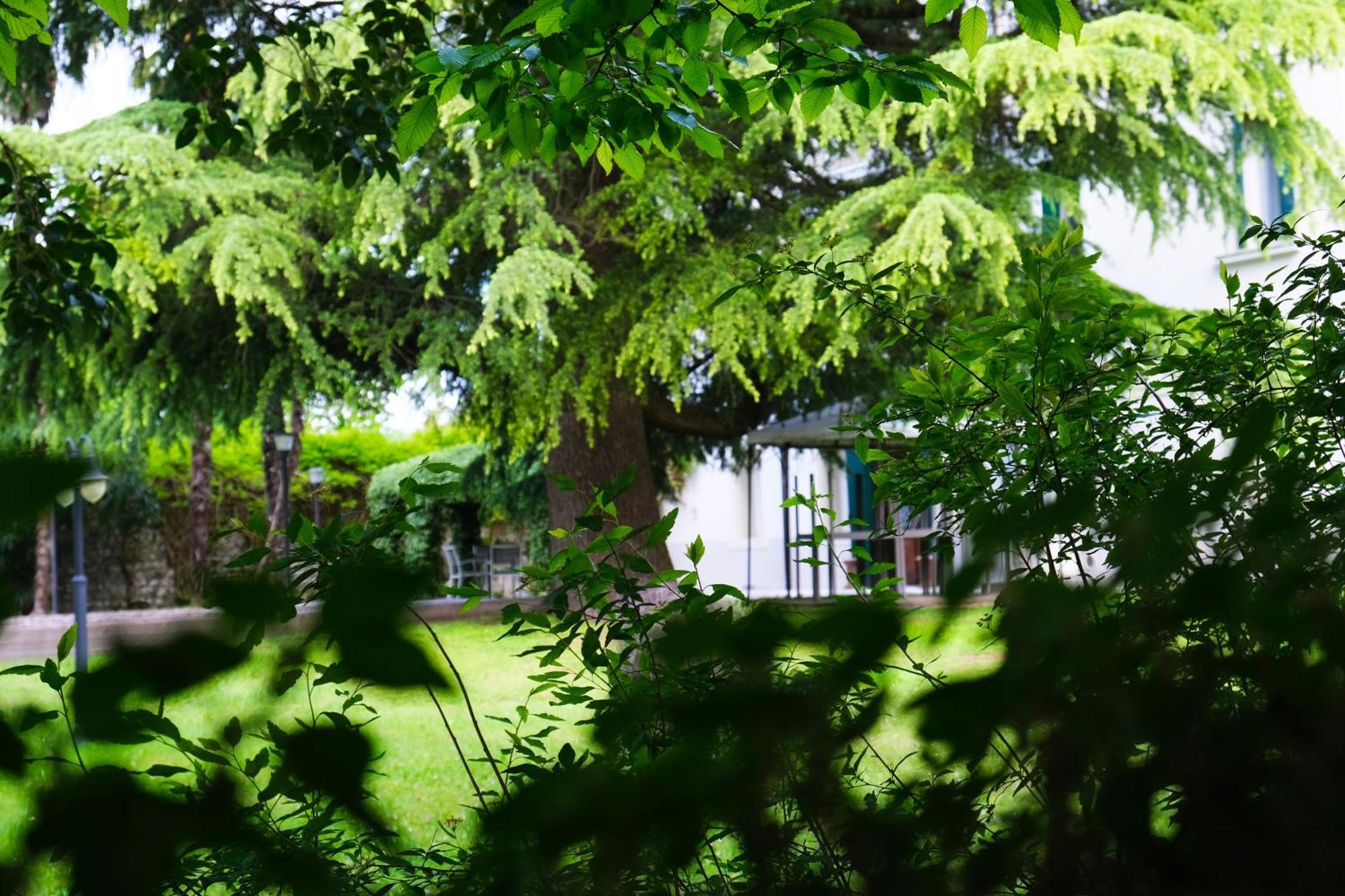 Hotel Villa Ca Damiani Caneva Exterior photo